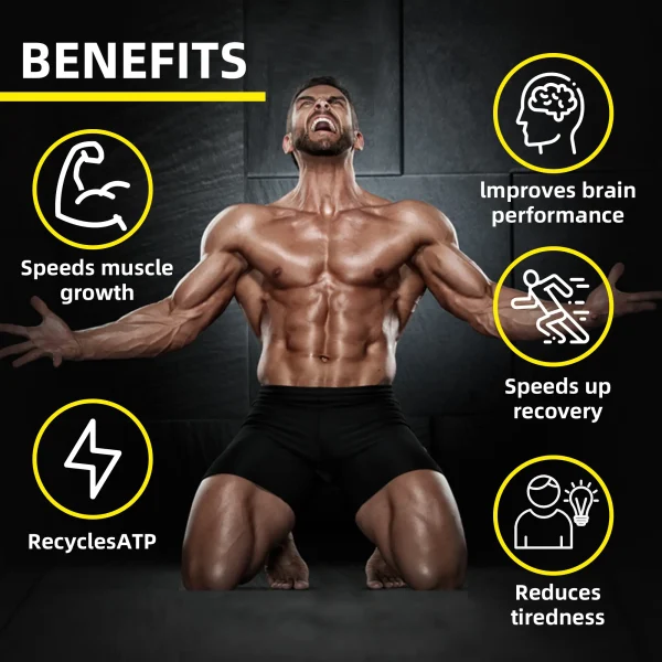 Benefits of Creatine Monohydrate Gummies: Speeds Muscle Growth, Recycles ATP, Improves Brain Performance, Speeds Up Recovery, Reduces Tiredness