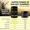 Our Himalayan Shilajit Gummies Advantages